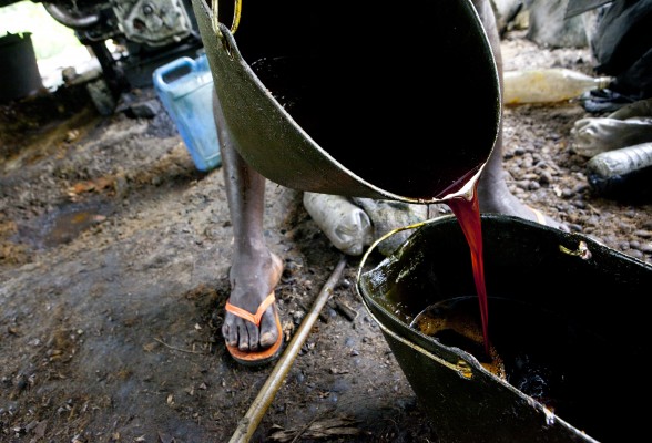 Cameroun-Palm Oil-Herakles