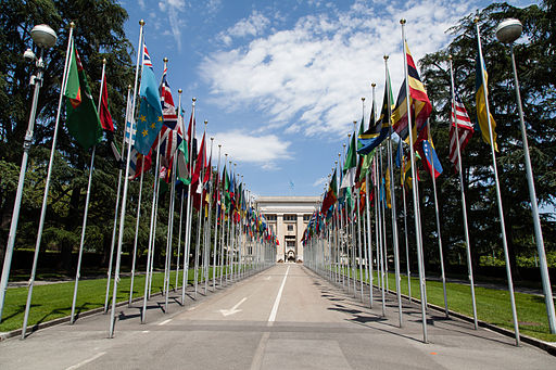 United_Nations_Flags Tom Page