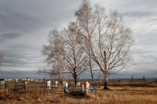 Cimetière, village de Muslyumovo en Russie, situé près du complexe nucléaire de Maïak (l'une des terres les plus polluées de déchets radioactifs au monde) © Denis Sinyakov / Greenpeace