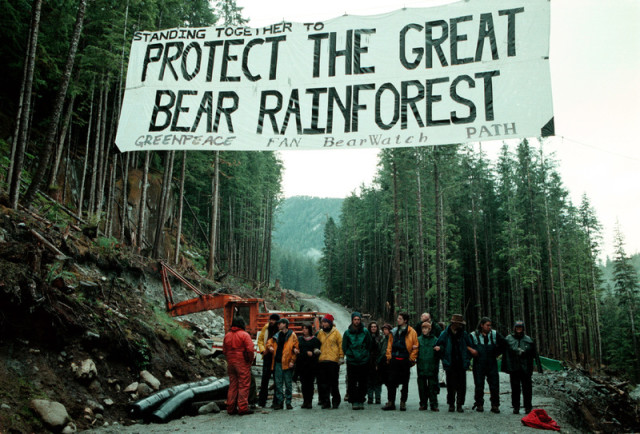 Action de blocage - Great Bear Rainforest © Greenpeace / Greg King 1997