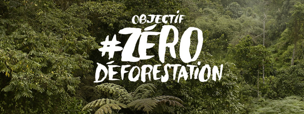 Victoire d’étape contre la déforestation
