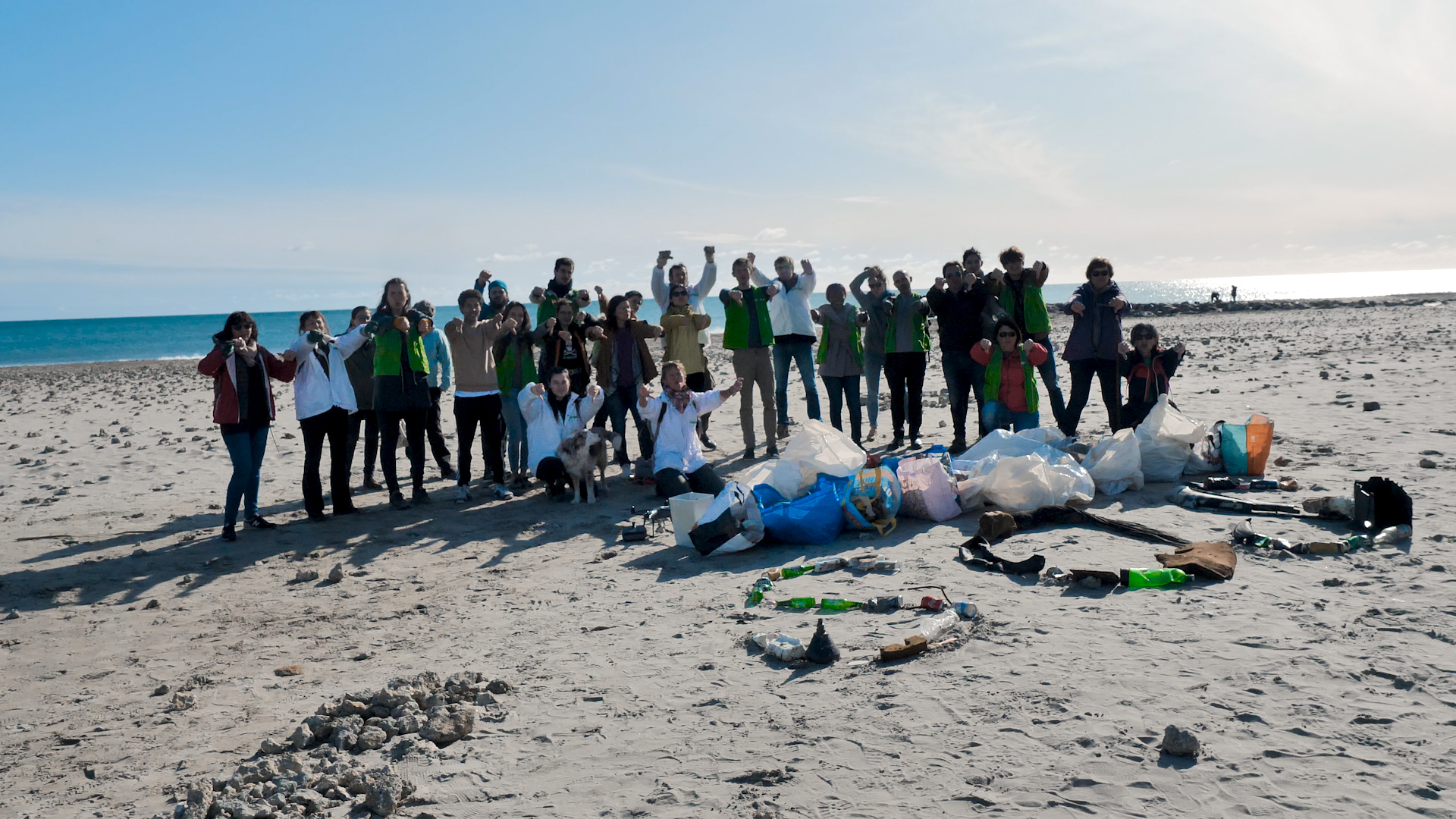 Ramassage Des D Chets Sur La Plage Greenpeace France