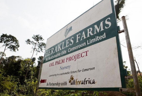 Herakles Farms Sign in Cameroon