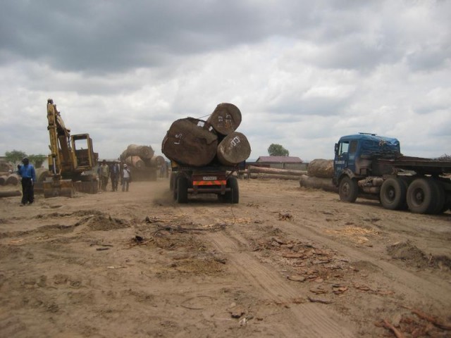 Unmarked Timber on Truck in DRC