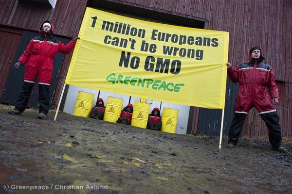 Greenpeace Blockade GMO Storage Facility in Northern Sweden Aktivister blockerar GMO-lager i Norrbotten