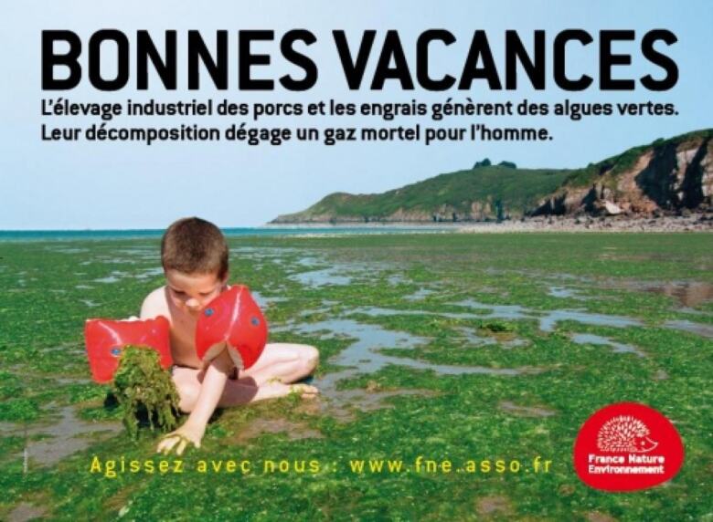 https://cdn.greenpeace.fr/site/img/blog/uploads/2011/08/bonnesvacances-780x572.jpg 
