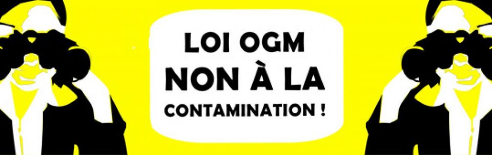 

Paris, le 5 février 2008. Greenpeace a garé ce matin rue de Médicis en fa