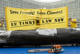 L’Union européenne doit agir contre la destruction des forêts