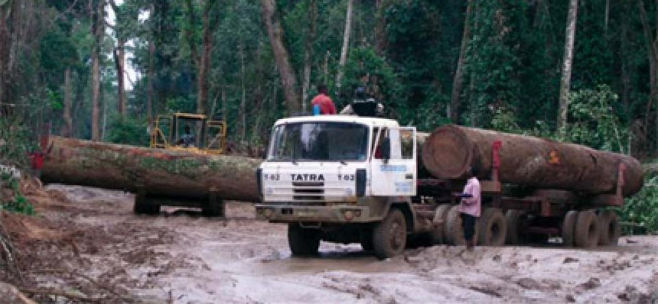 

Matadi, RDC, le 24 novembre 2008 – Greenpeace ouvre officiellement un bure