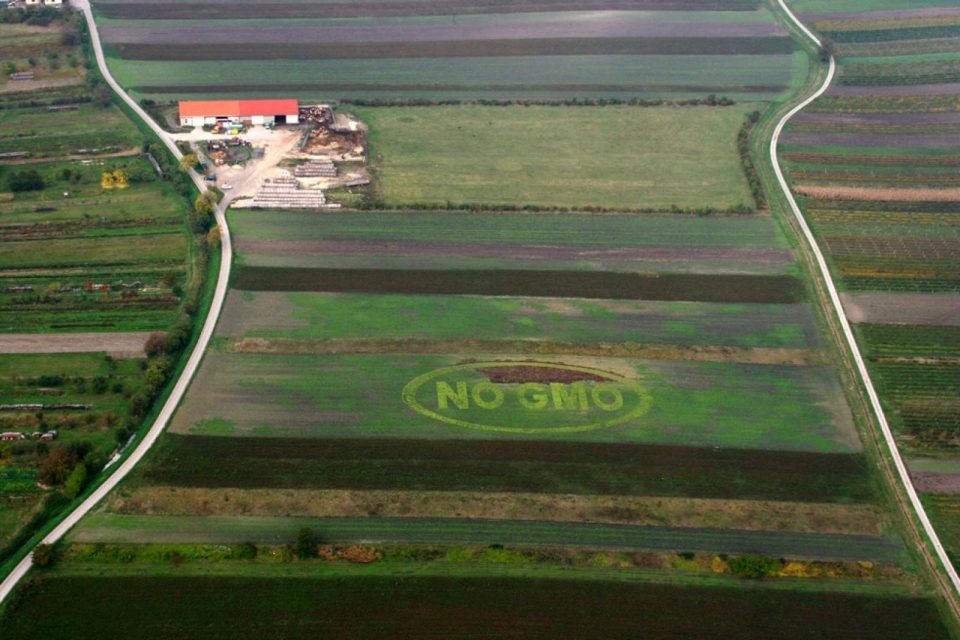 

C'est avec une action spectaculaire, le jeudi 9 octobre, que Greenpeace Autr