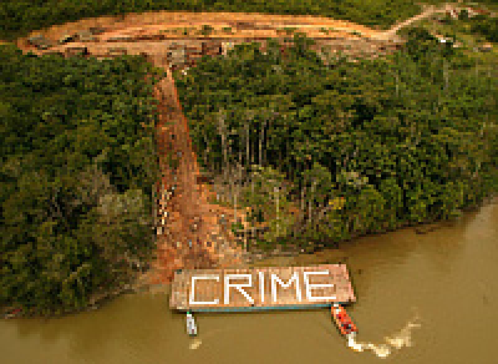 Un nouveau projet de loi sur l'exploitation forestière va être soumis à l