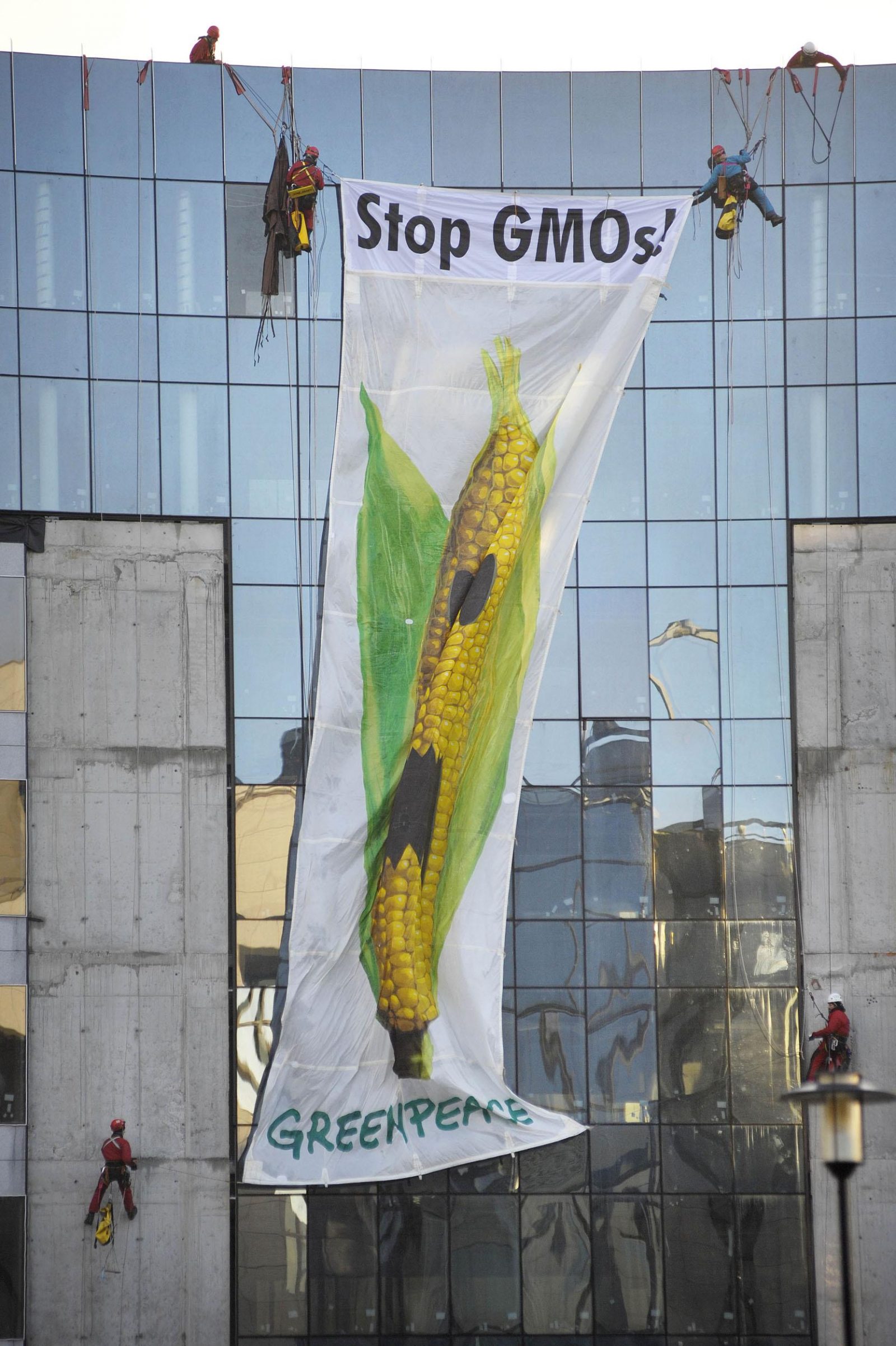 

Bruxelles, Belgique, le 24 novembre 2008 – Ce matin, au cœur du quartier 