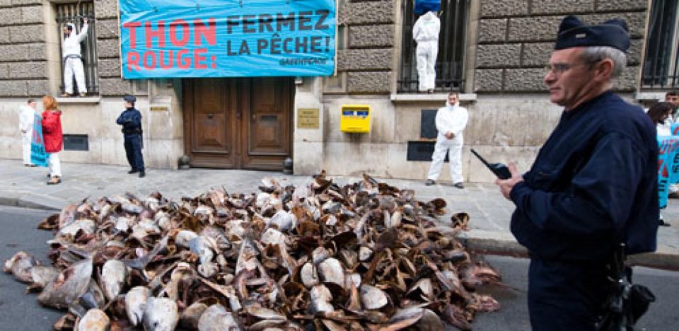 

Paris, le 25 novembre 2008 –Réunie à Marrakech depuis le 17 novembre, l