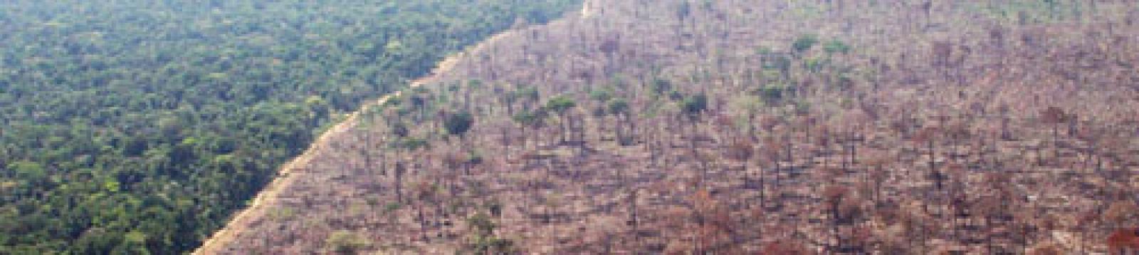 

France — Paris, le 2 décembre- Quelques jours avant le lancement des disc