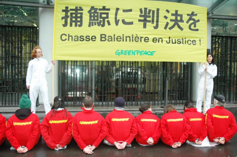 Paris, le 9 décembre 2008 – Vers 15h, devant l’ambassade du Japon à Paris,