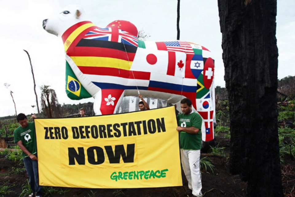 

Des activistes de Greenpeace, accompagnés de leaders des communautés de Po