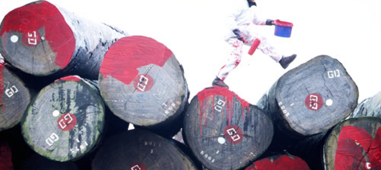 

Déforestation, bois illégal, enjeux économiques, testez vos connaissances