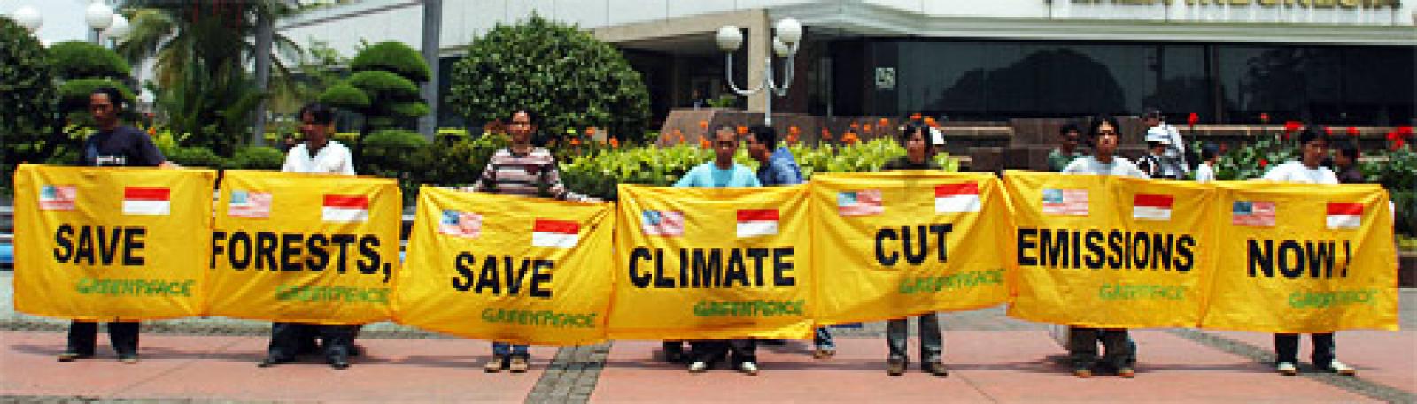 

Greenpeace lance un appel urgent au Président Indonésien Sisilo Bambang Yu