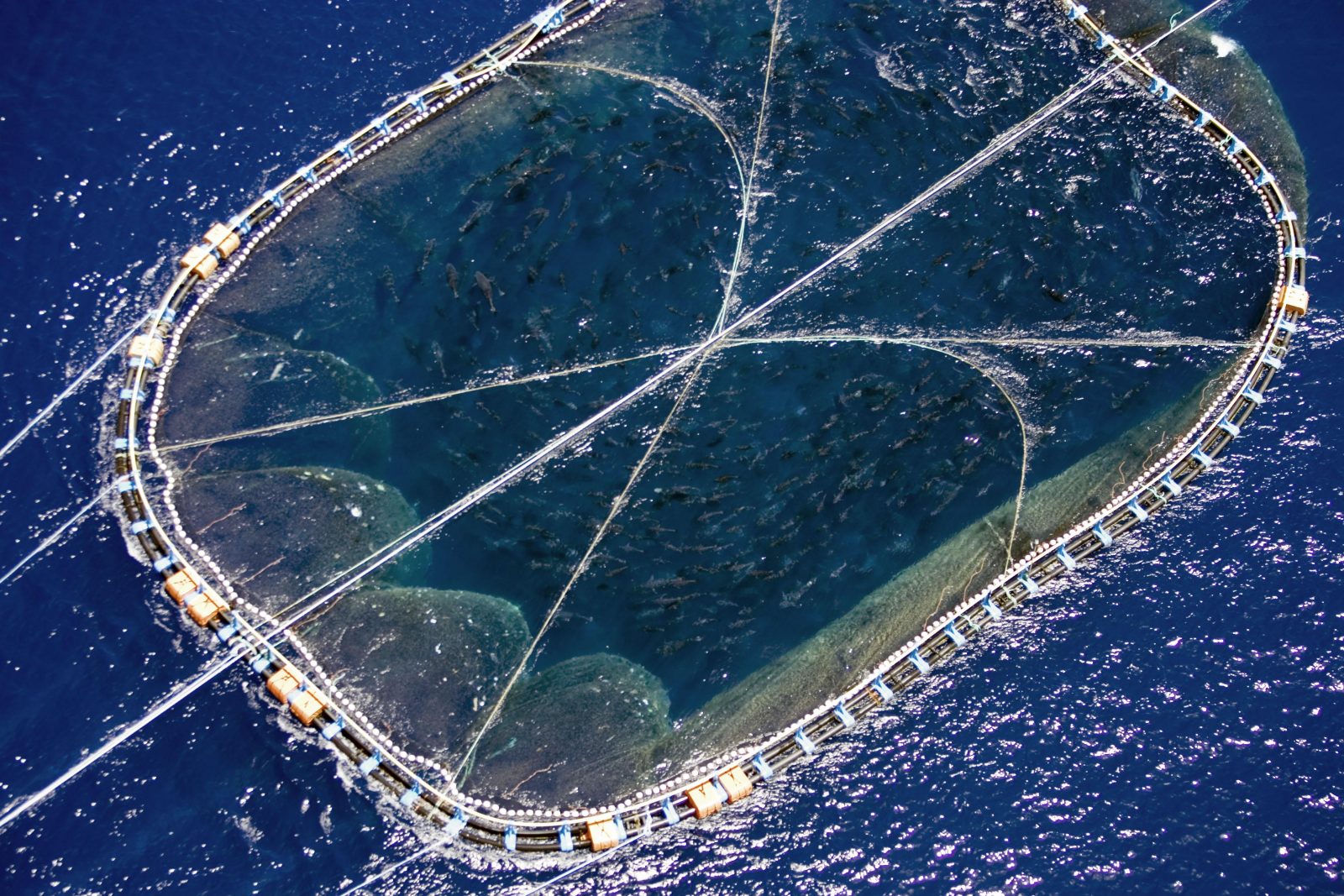  ©Greenpeace 
Paris, le 17 mars 2009 - Alors que le parlement européen vient 