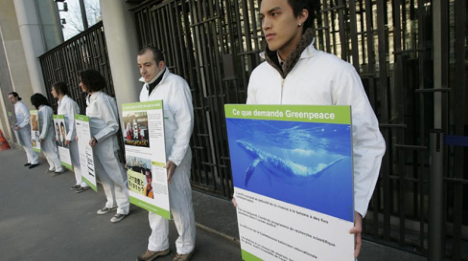 
©Greenpeace / Nicolas Chauveau

Paris, le 19 mars 2009 – Ce matin, Greenp