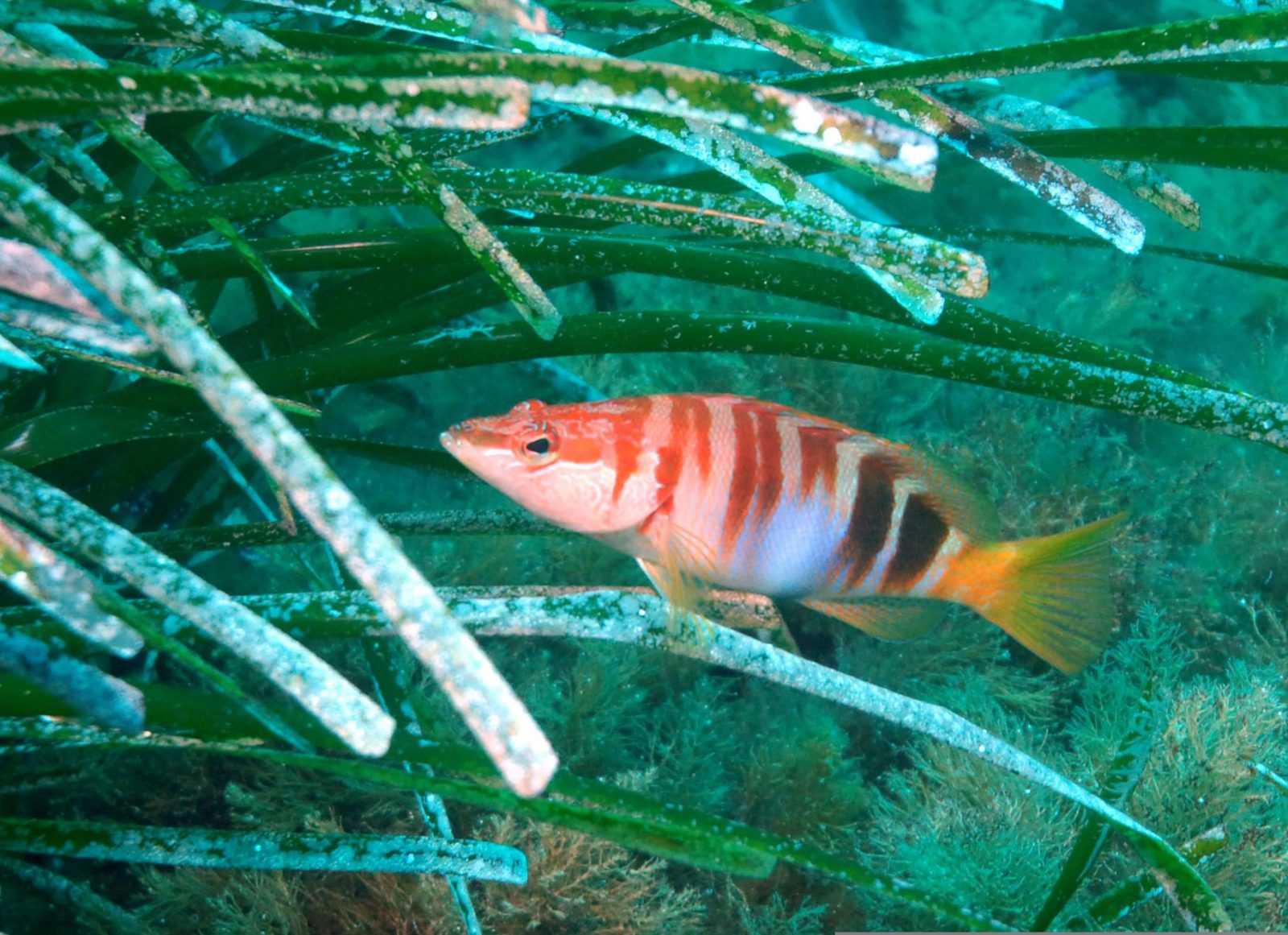 Paris, 26 mai 2009 – Greenpeace a déposé une réclamation à l'encontre de