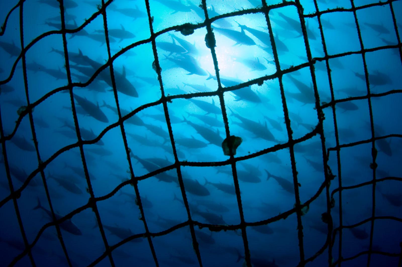 Le Grenelle de la mer s'achève aujourd'hui et dessine enfin les éléments 