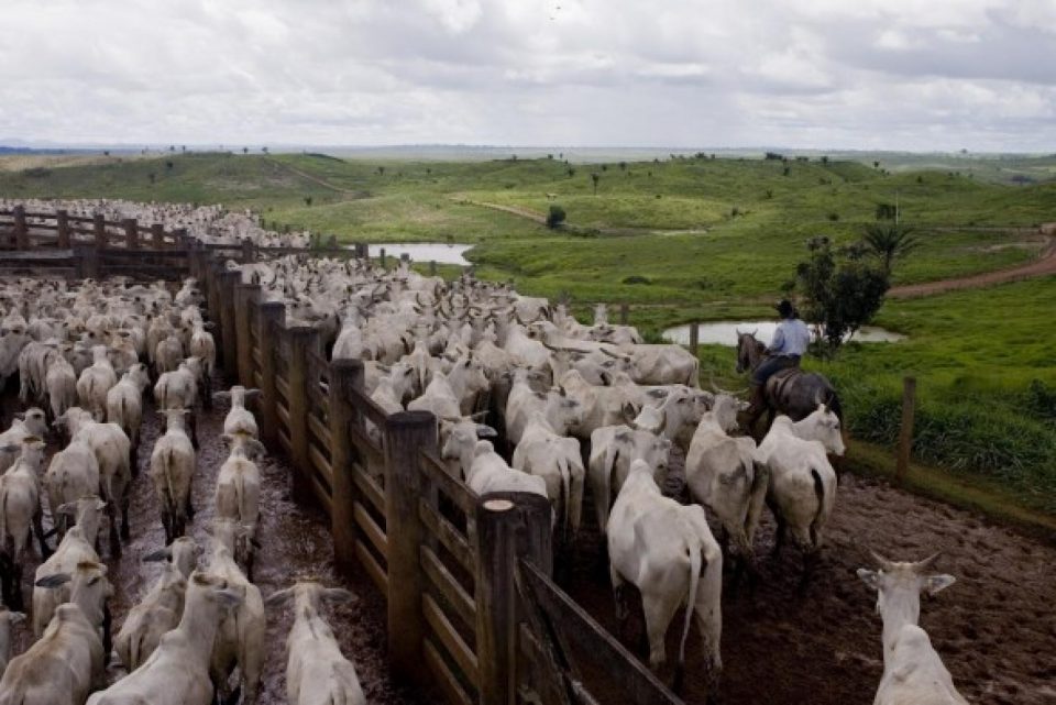 Quatre des plus grands noms du commerce de viande et de cuir ont fait un grand p