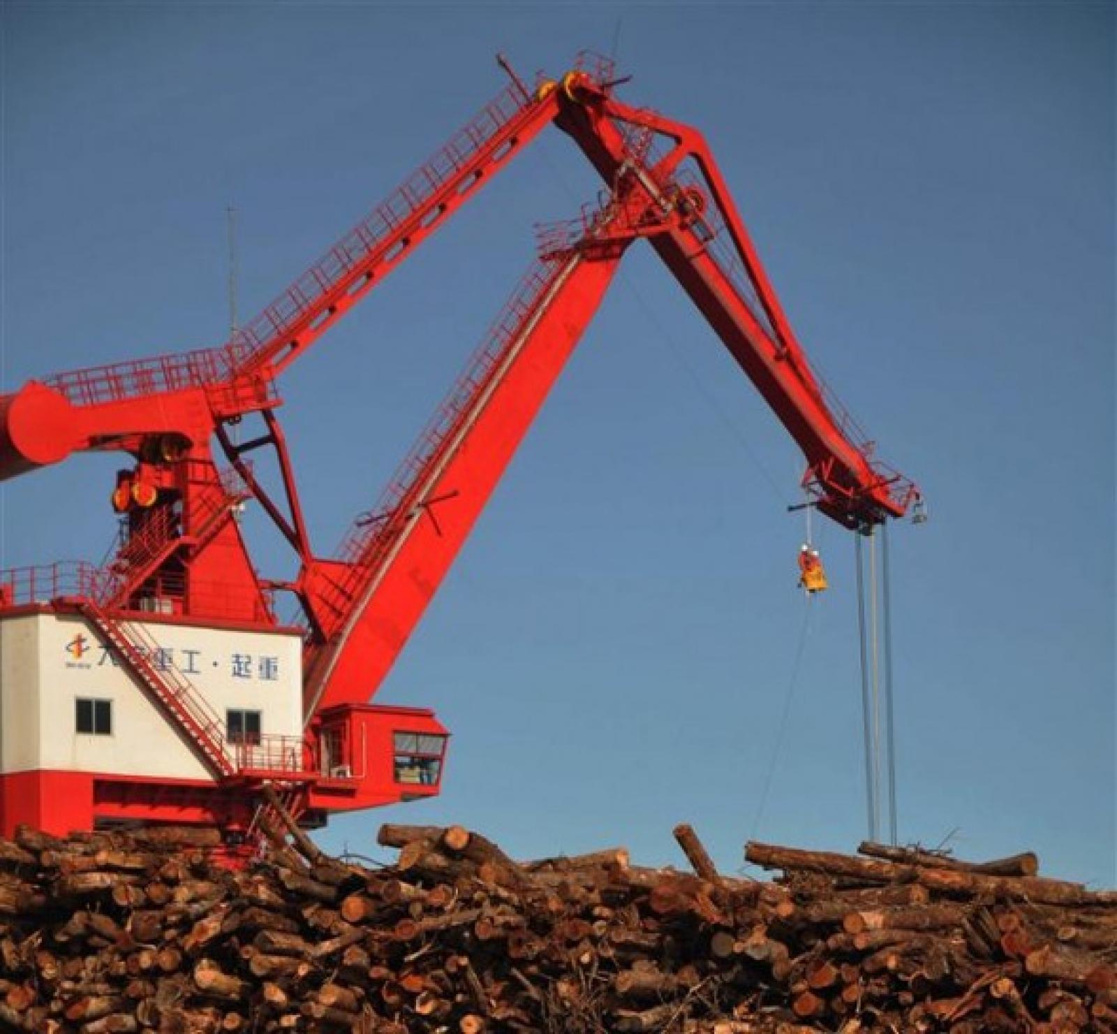 Greenpeace bloque actuellement des opérations d'exportation de pulpe et de p�