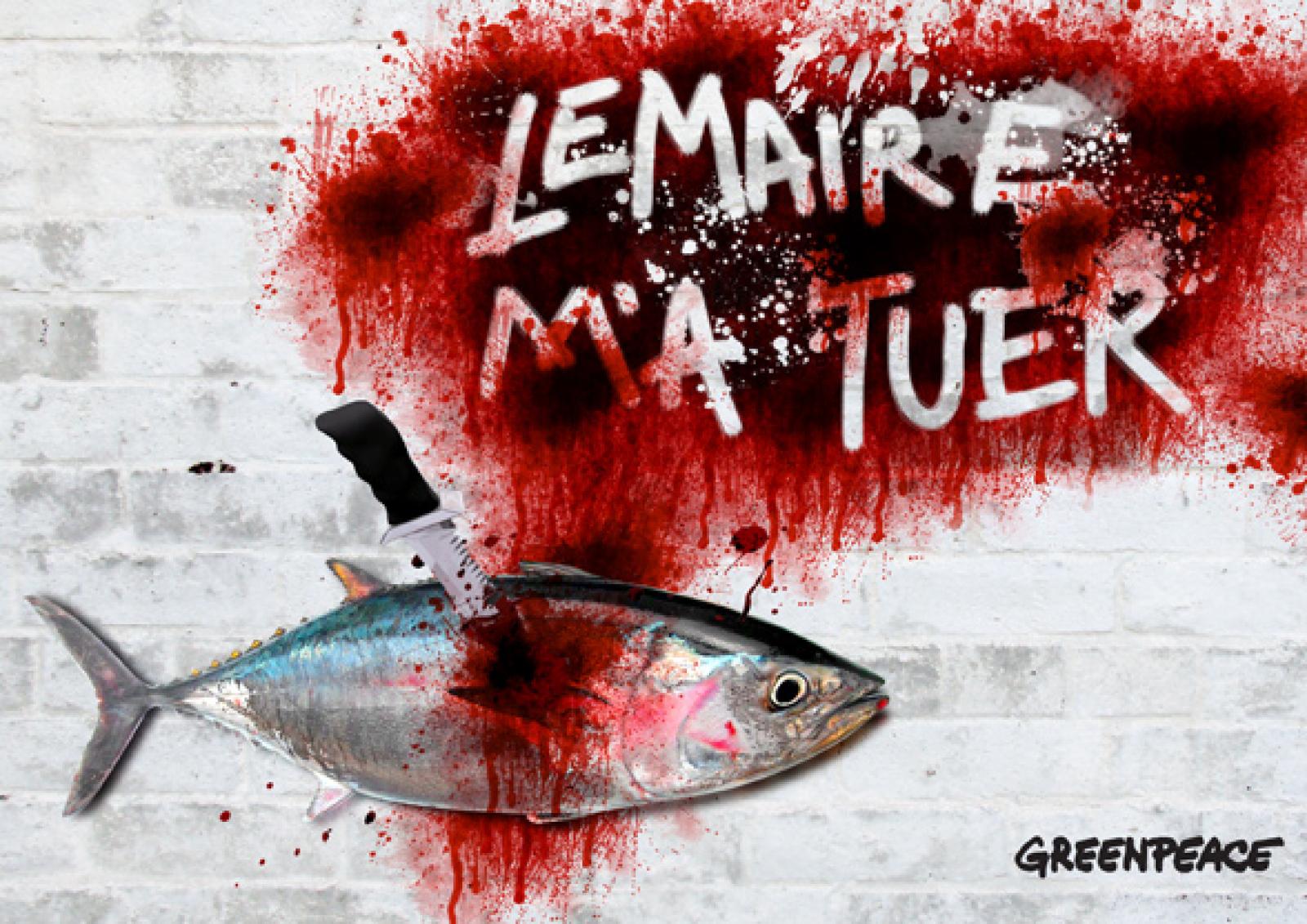 

Si vous avez signé la pétition « Ne tuez pas le thon rouge ! », le cabin