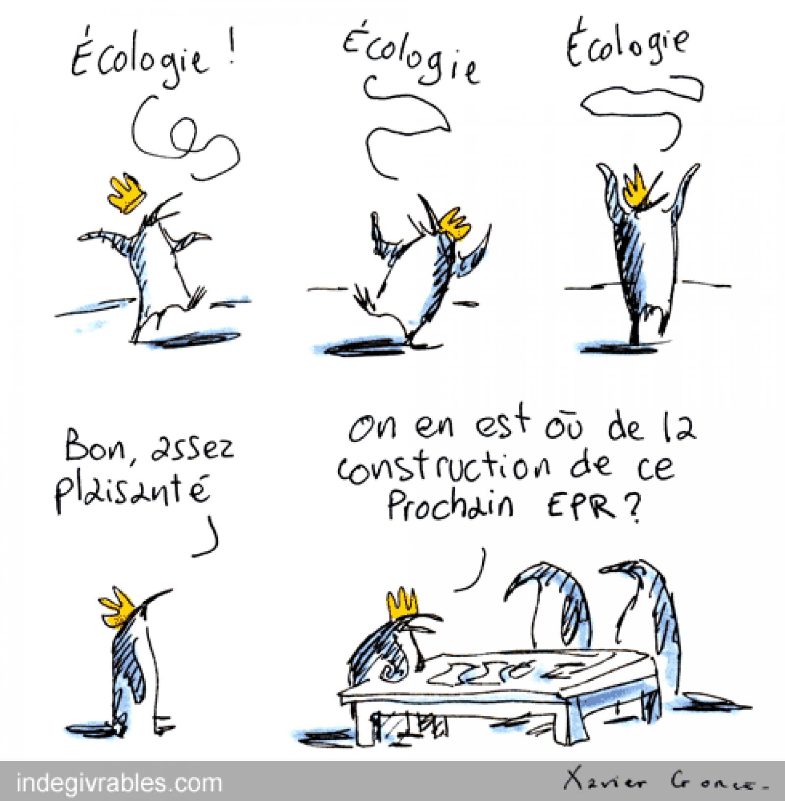 

Voici enfin sur papier la suite des aventures dessinées des manchots de Xav