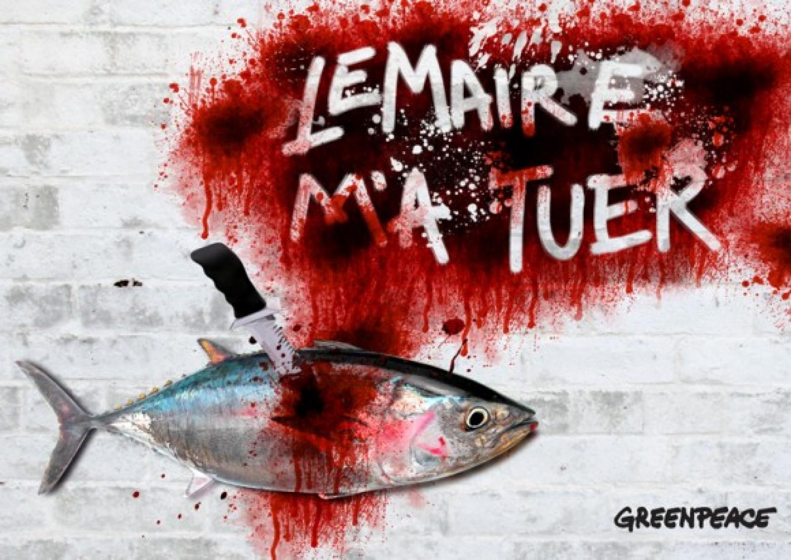 

Classement du thon rouge en annexe 1 avec ou sans condition ? Délais de 12