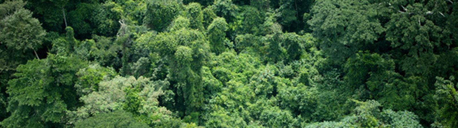 

Ce jeudi se déroule à Paris une conférence Internationale sur les grands 