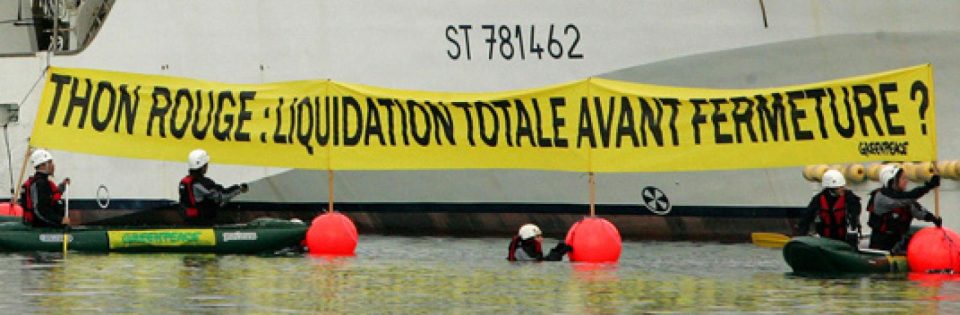 
Alors que s’ouvre la saison de pêche 2010, entre le 15 mai et le 15 juin, c