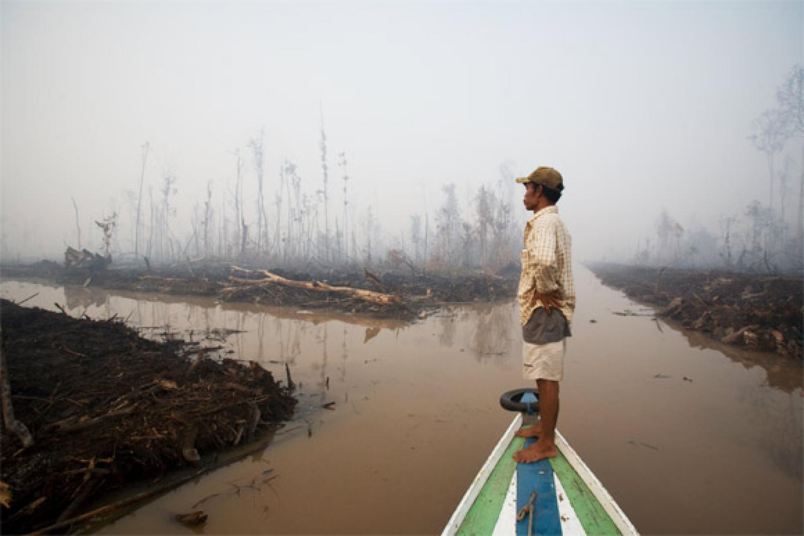 
© Natalie Behring-Chisholm / Greenpeace

 Le président indonésien Susilo 