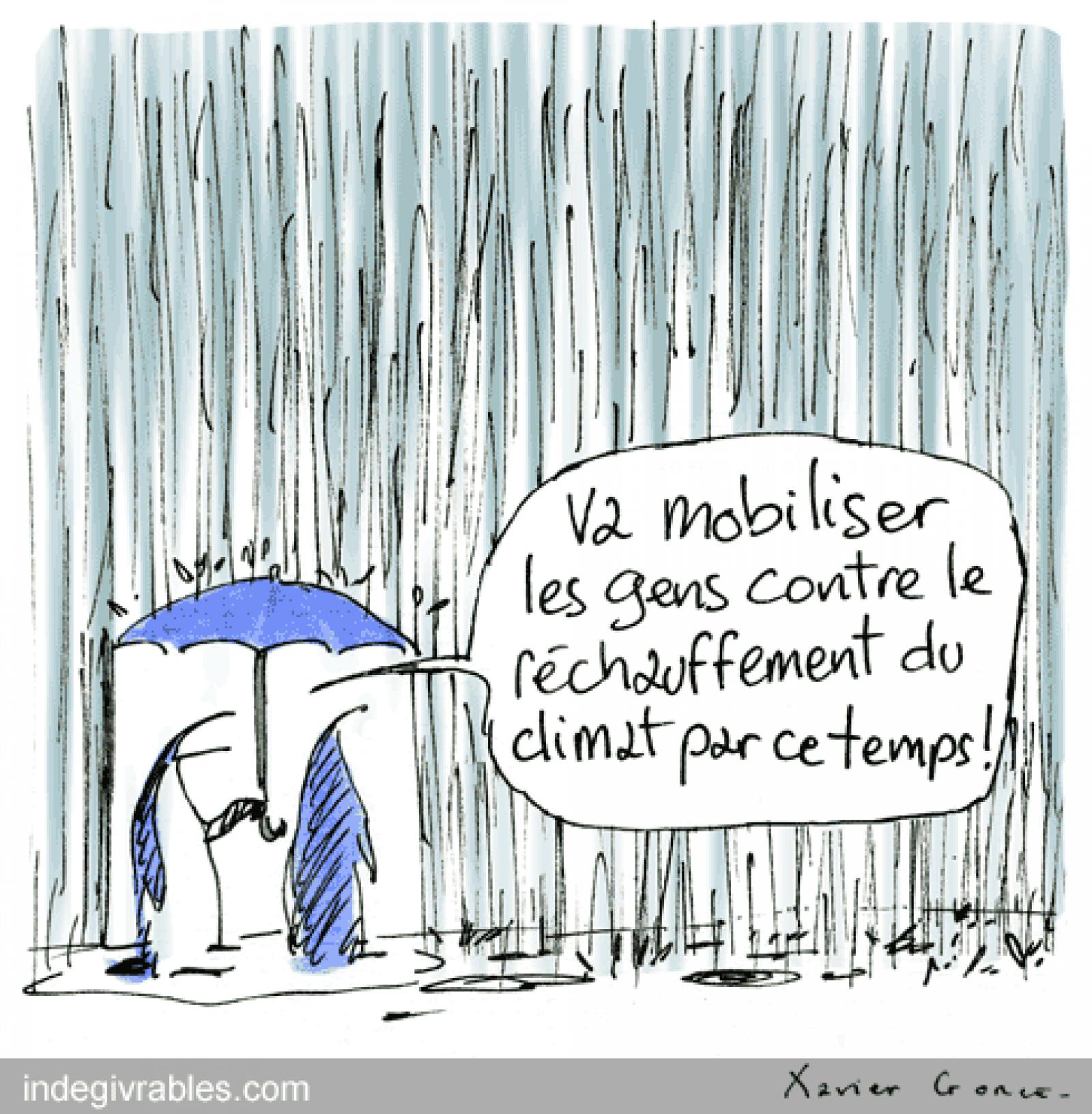 Mois d'août pluvieux?



Un rayon de soleil nous arrive de la banquise de X