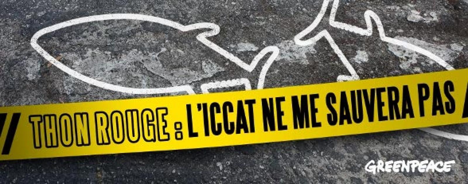 La réunion de l'Iccat à Paris vient de s'achever et le quota de pêche au th