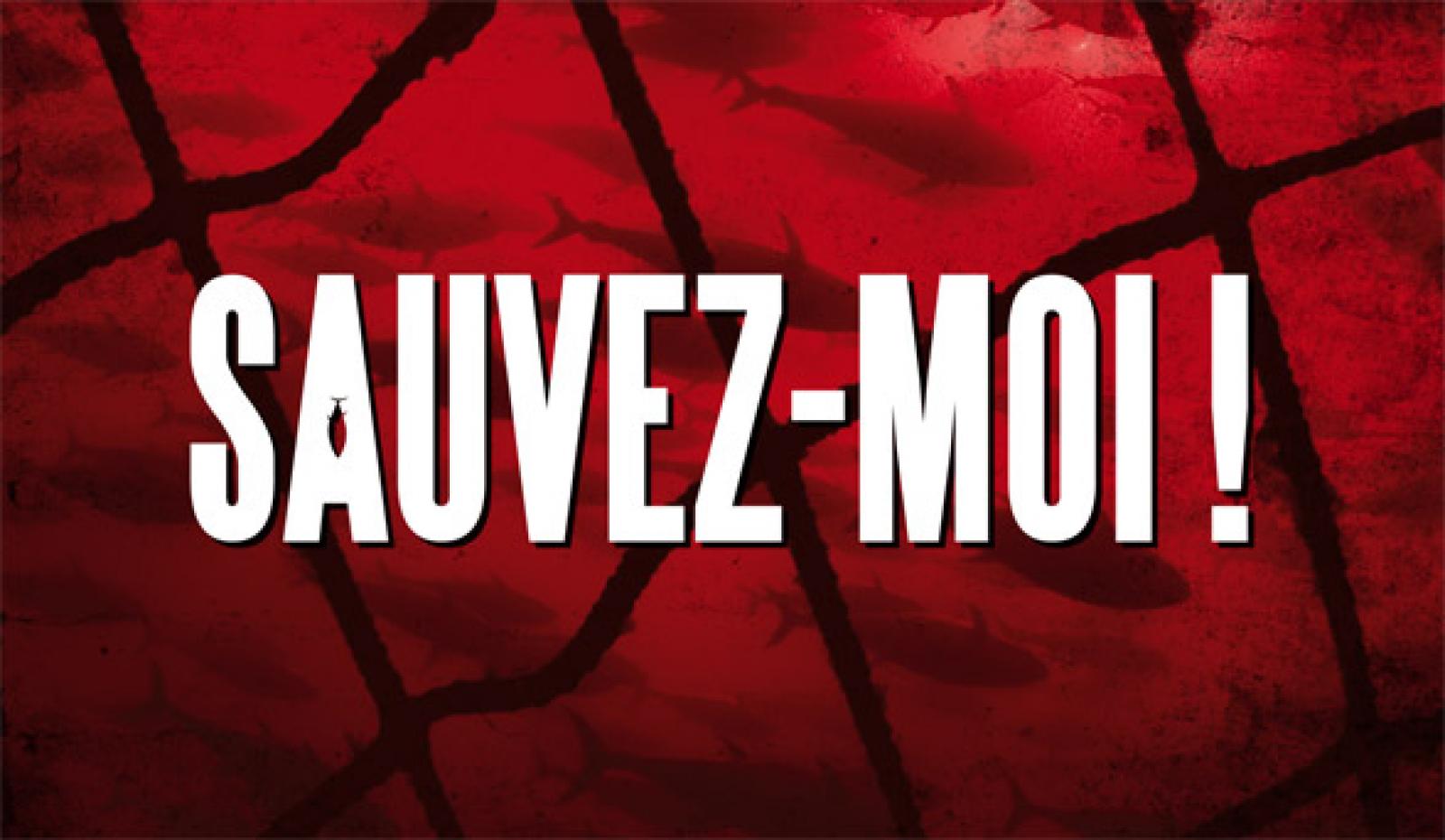 Un marché noir du thon, qui pèserait jusqu'à 4 milliards de dollars, est mo