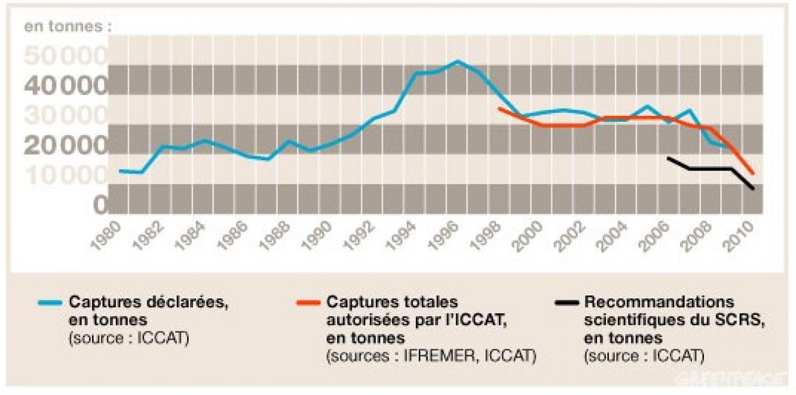 Ce dimanche 15 mai et pour un mois, la pêche au thon rouge a repris en Méditer