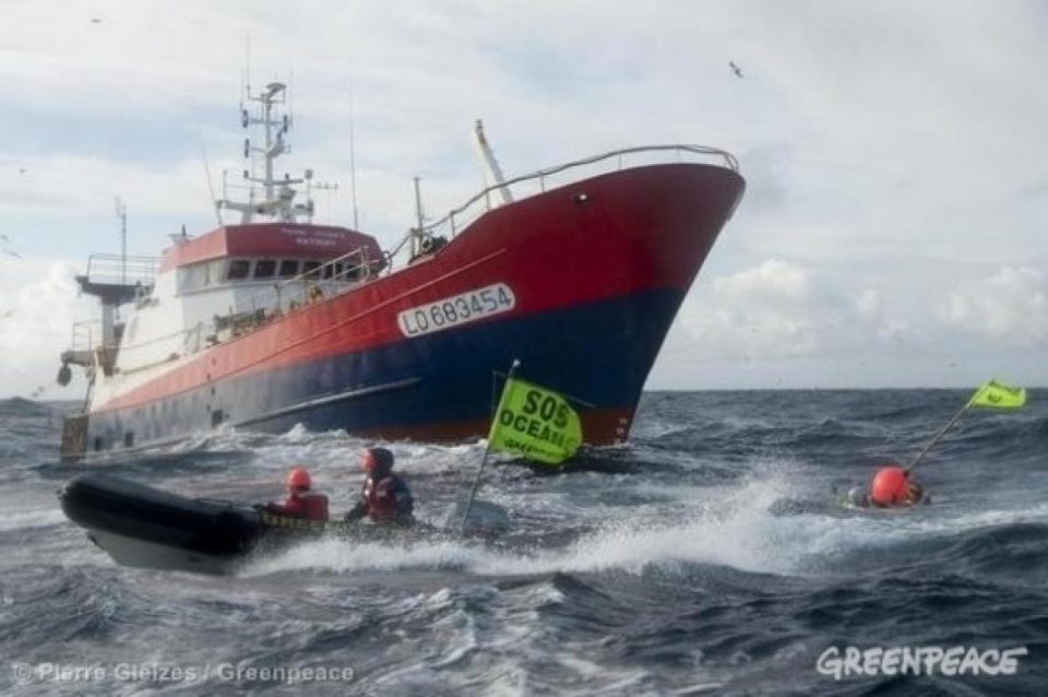 Depuis plusieurs mois, Greenpeace mène campagne contre la pêche profonde.  Mer