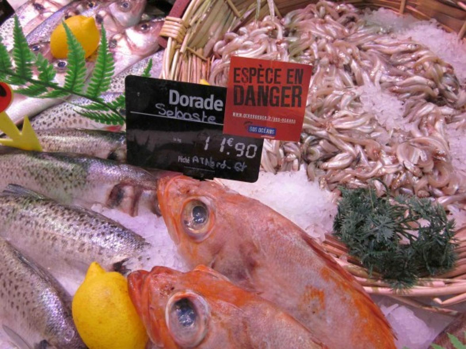 Mercredi 28 octobre, dans l'après-midi, des militants de Greenpeace ont symboli