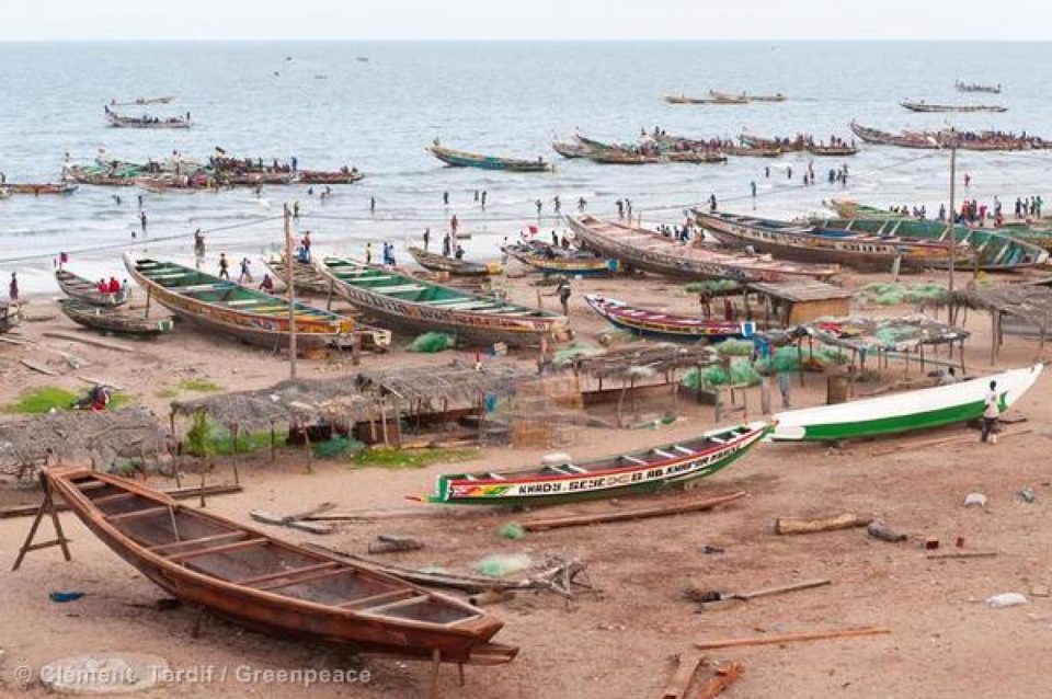 Depuis que le nouveau gouvernement sénégalais a pris la courageuse mesure de m