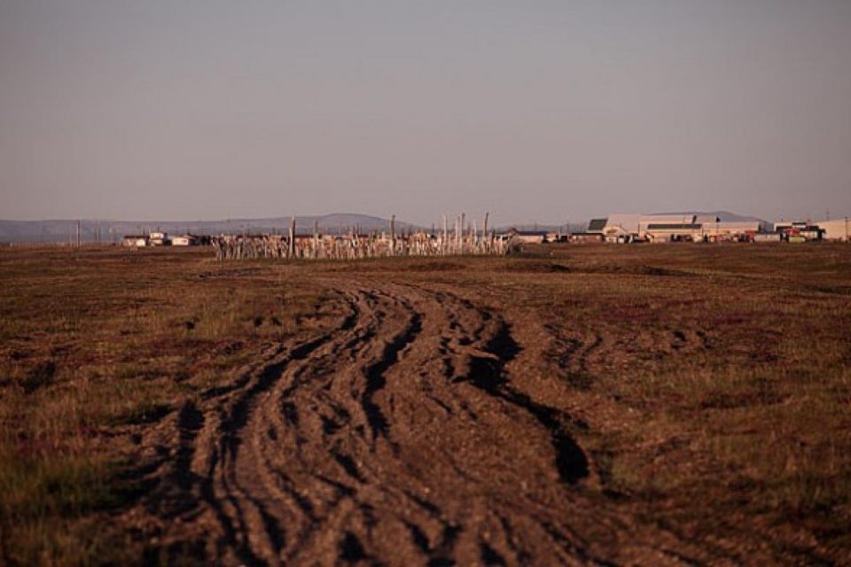 Les forages pétroliers en Arctique menacent un écosystème fragile, précieux,