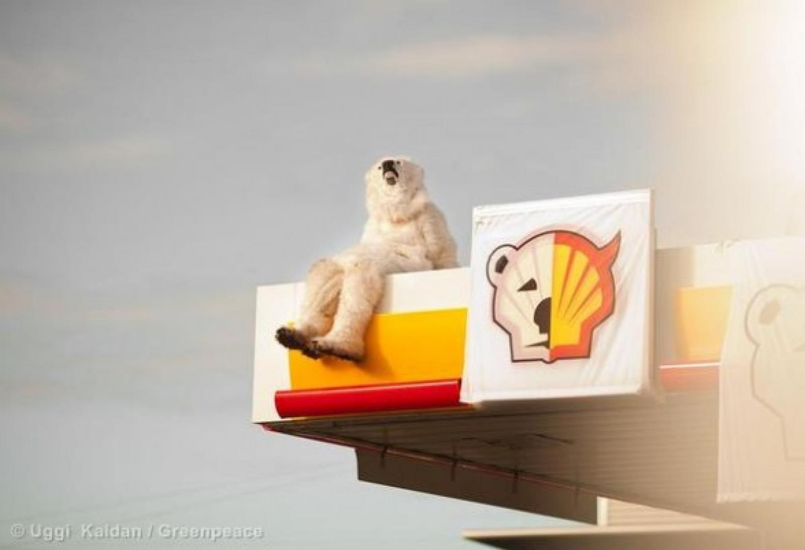 L'Arctique est menacée par les dérèglements climatiques, la banquise fond c