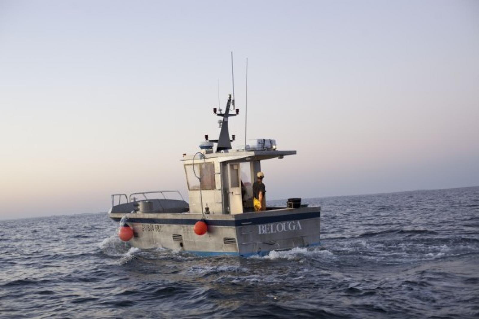 Manifestations, blocage,  mobilisations : les pêcheurs artisans organisent la 