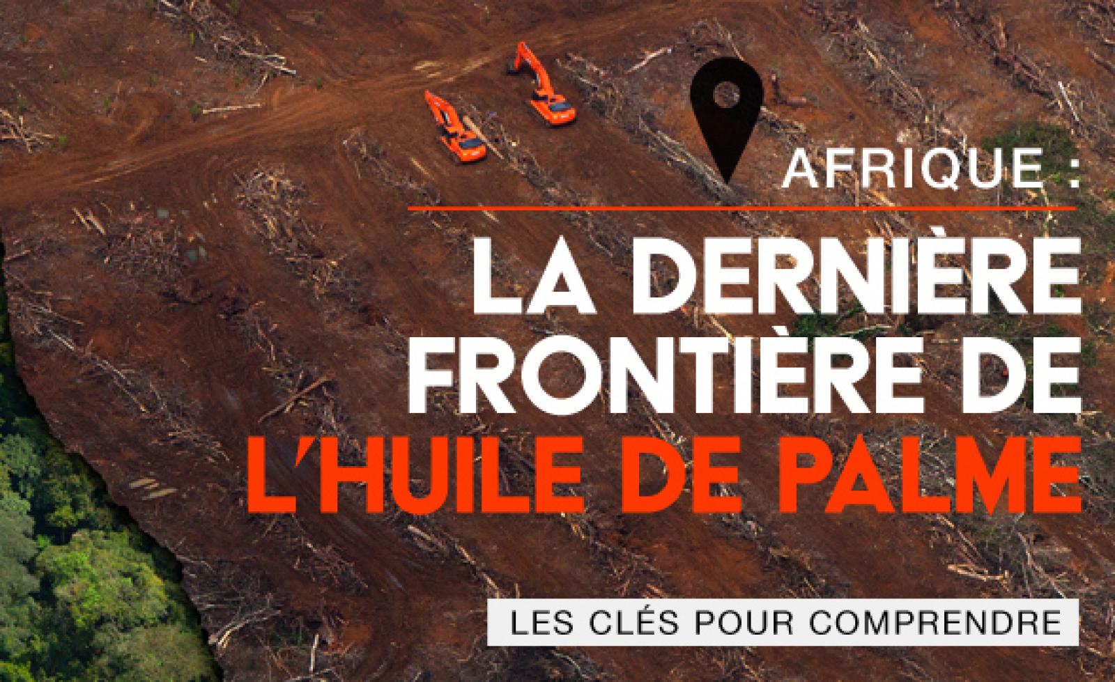 Après avoir décimé les forêts tropicales d'Asie du sud-est, les industriels 