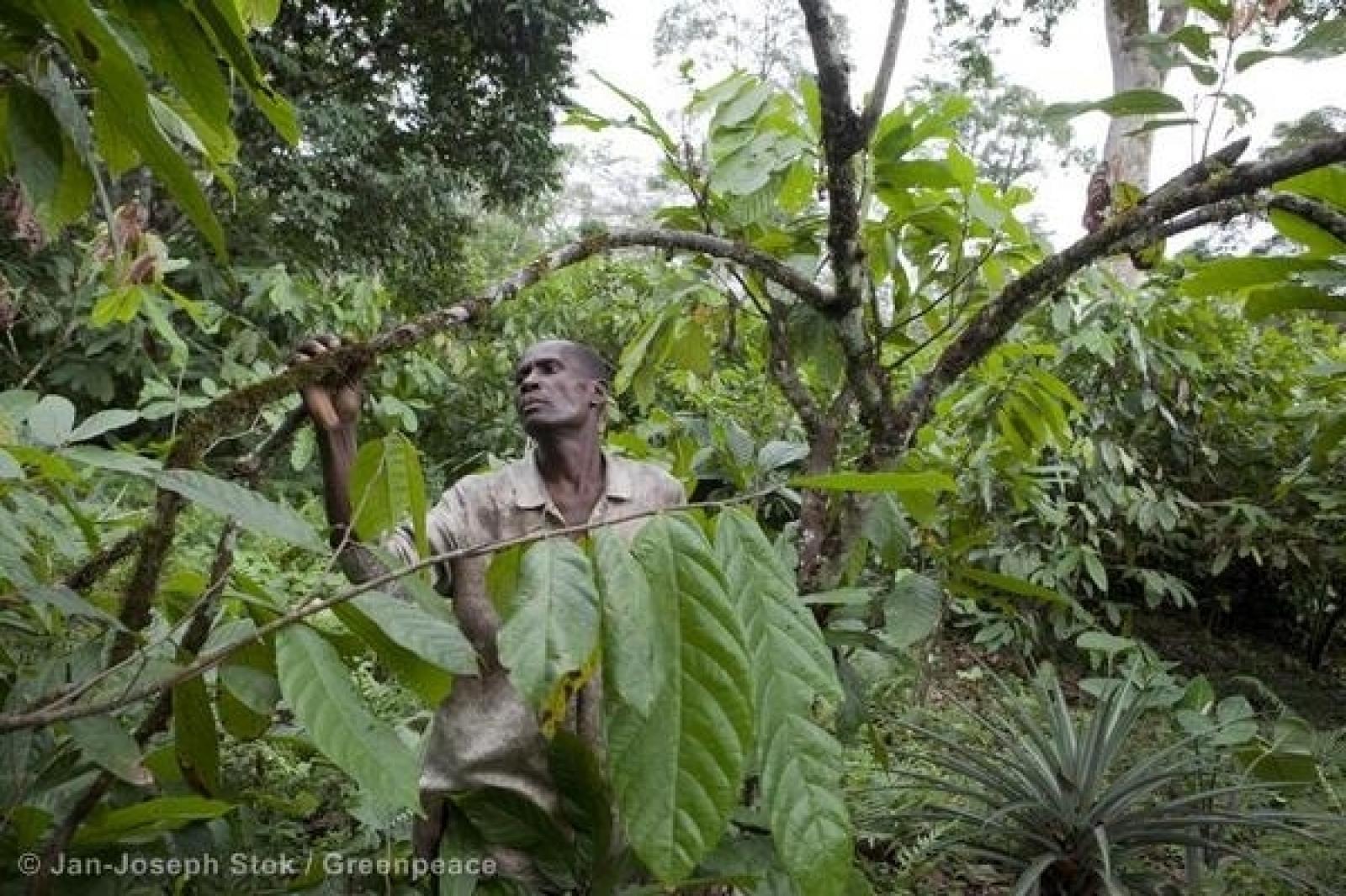 Et alors, on fait comment ?. C'est LA question à laquelle on est quotidiennem