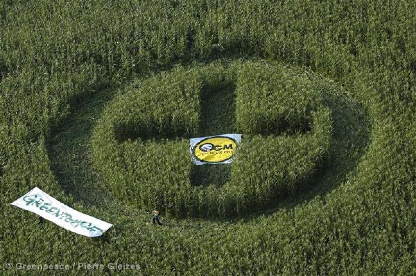 Récemment jugée trop lente par la Cour de Justice de l'UE, la Commission eur