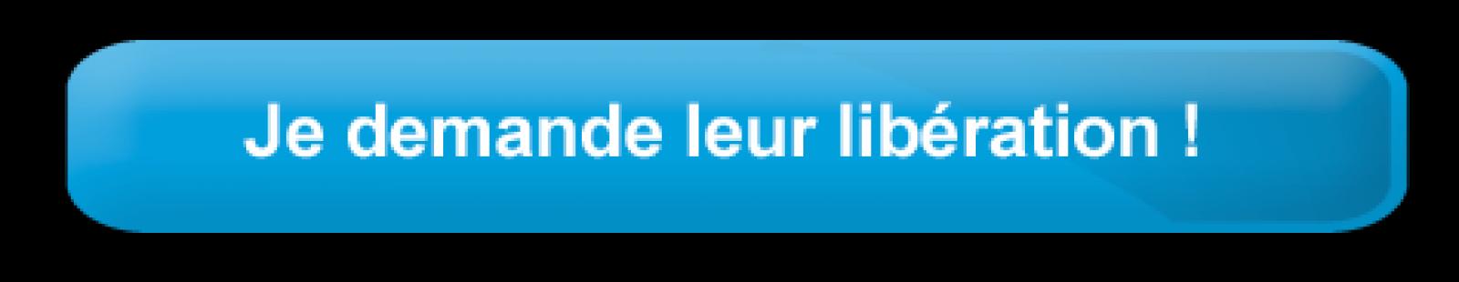 Tous les passagers de l'Arctic Sunrise (28 militants et membres d'équipage