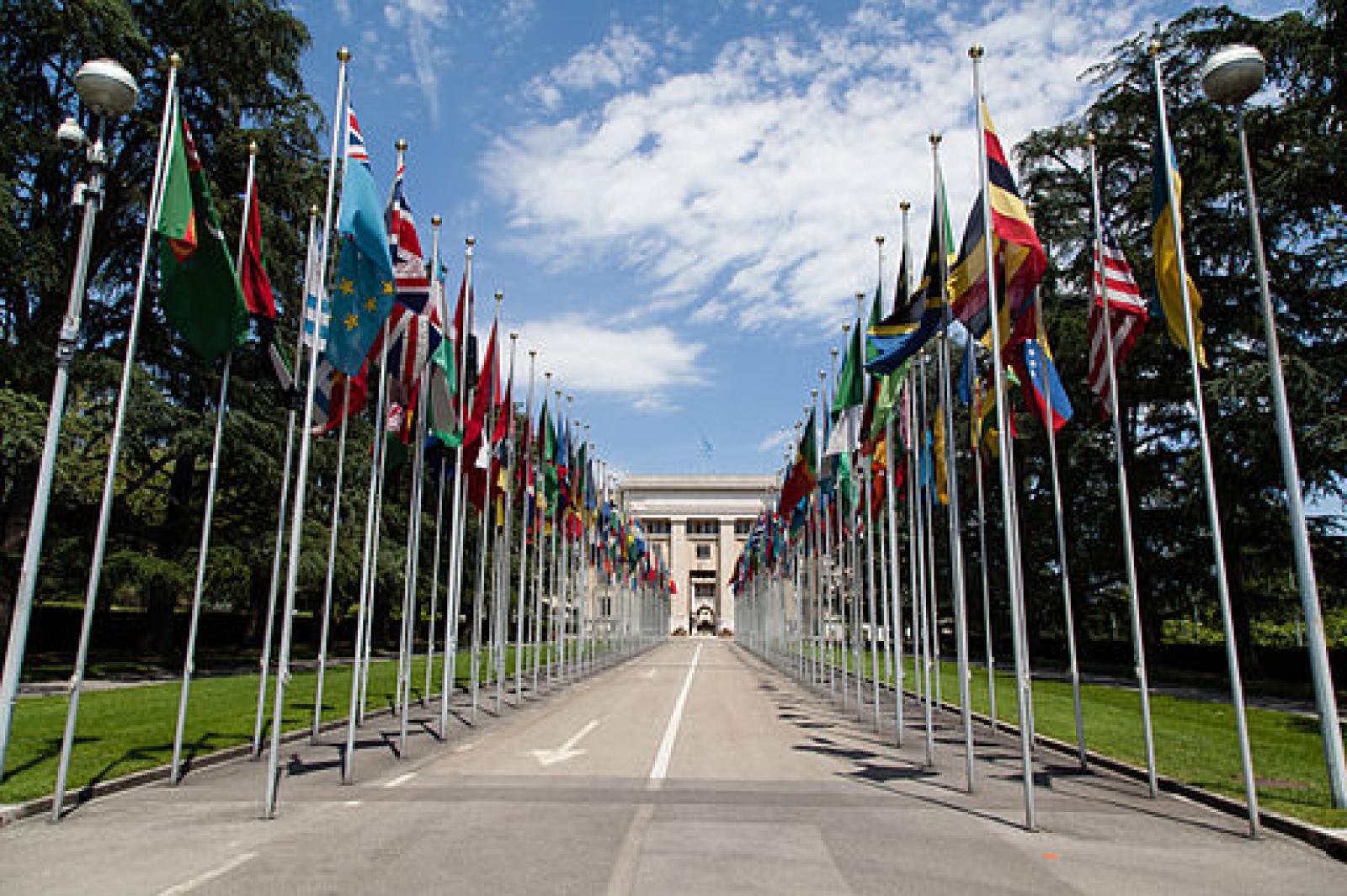 30 hommes et femmes représentant 18 nationalités. 18 pays concernés par la si