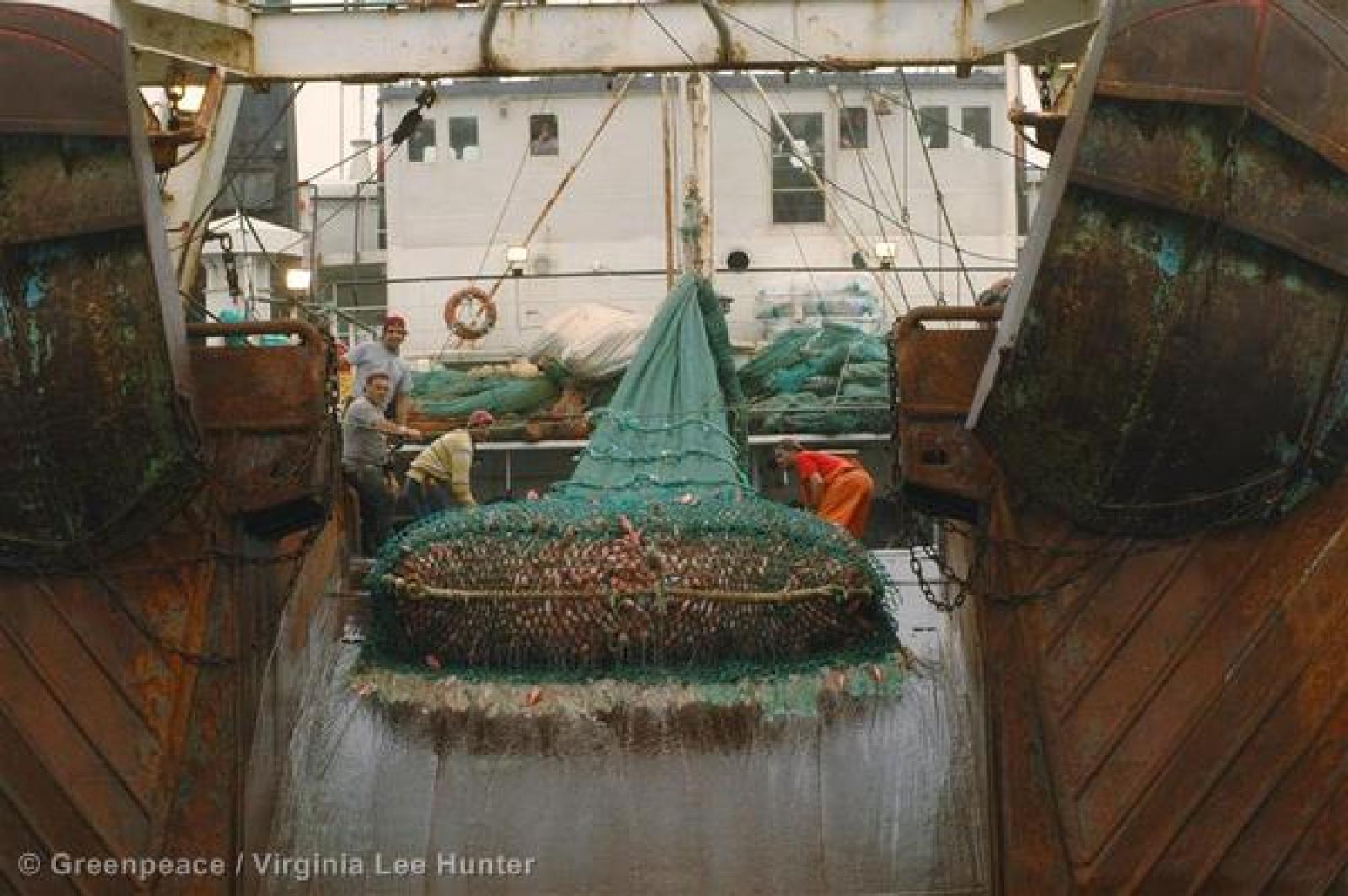 Hier, un vote décisif se déroulait au Parlement Européen : interdire ou non l